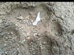 IMG-20201114-WA0038