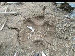 IMG-20201114-WA0041