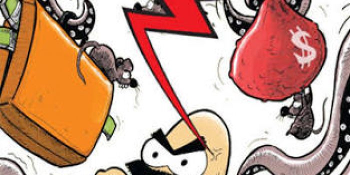 images (12)