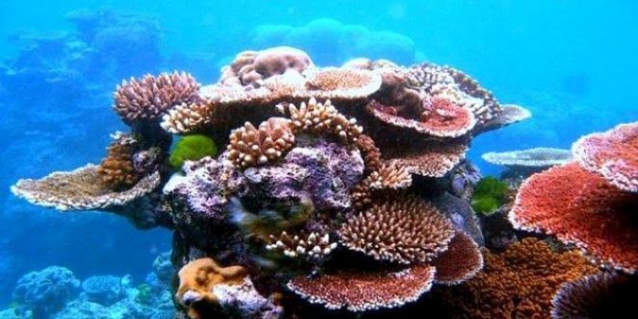 images (7)