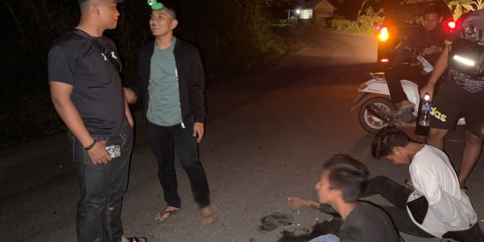 Elang Jupi