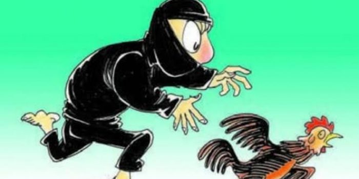 Gambar Ilustrasi