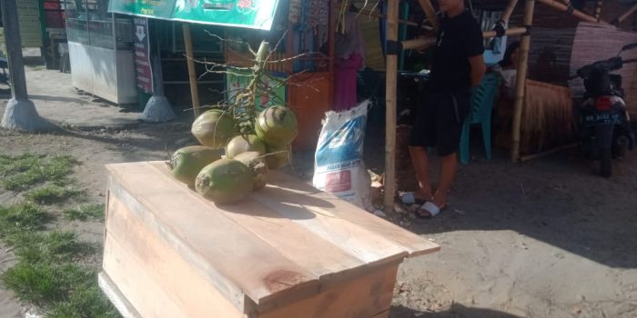 Kelapa muda