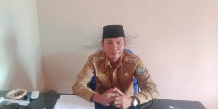 Camat