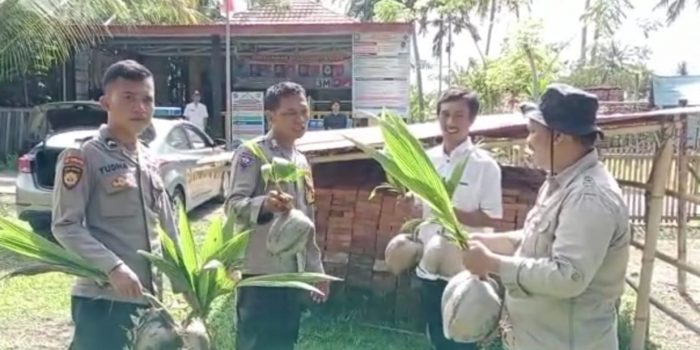 Kelapa