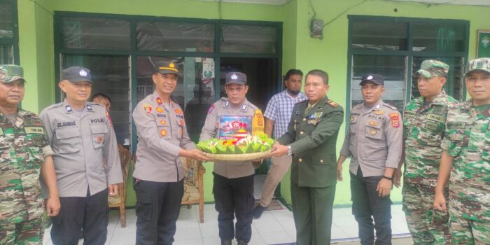 HUT TNI