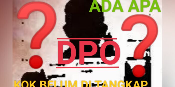 DPO